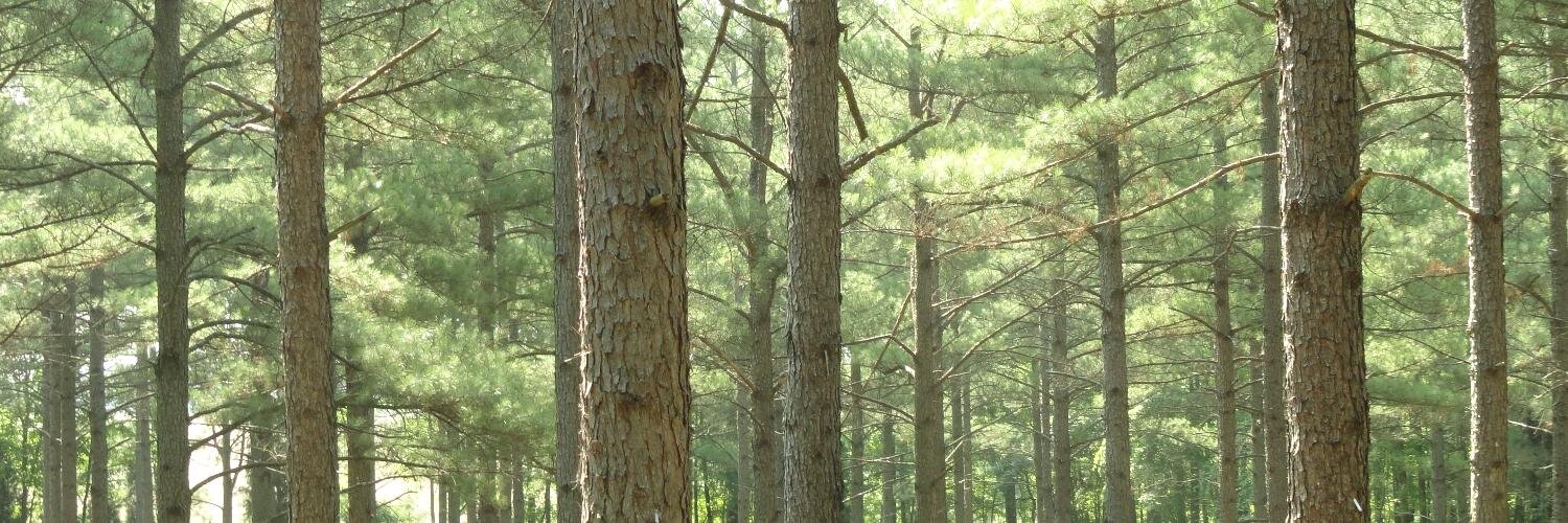 NCSU_TIP's profile banner image