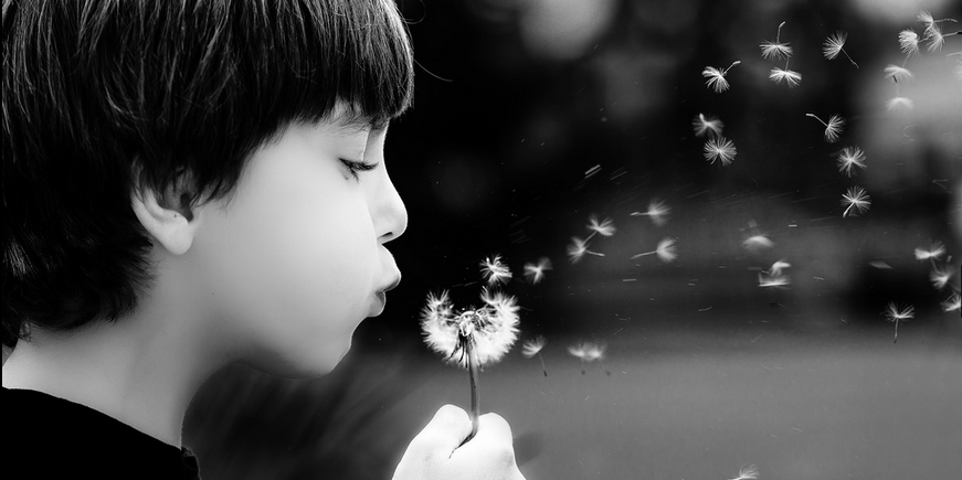 lIbInchacko's profile banner image