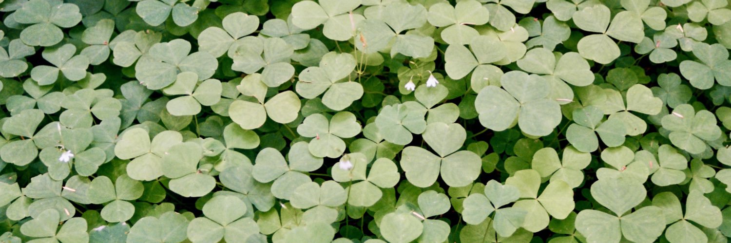 AndyHillCarruth's profile banner image