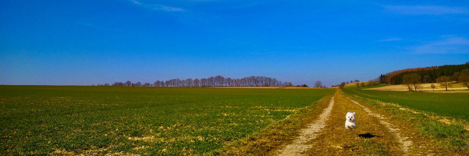 isar banner