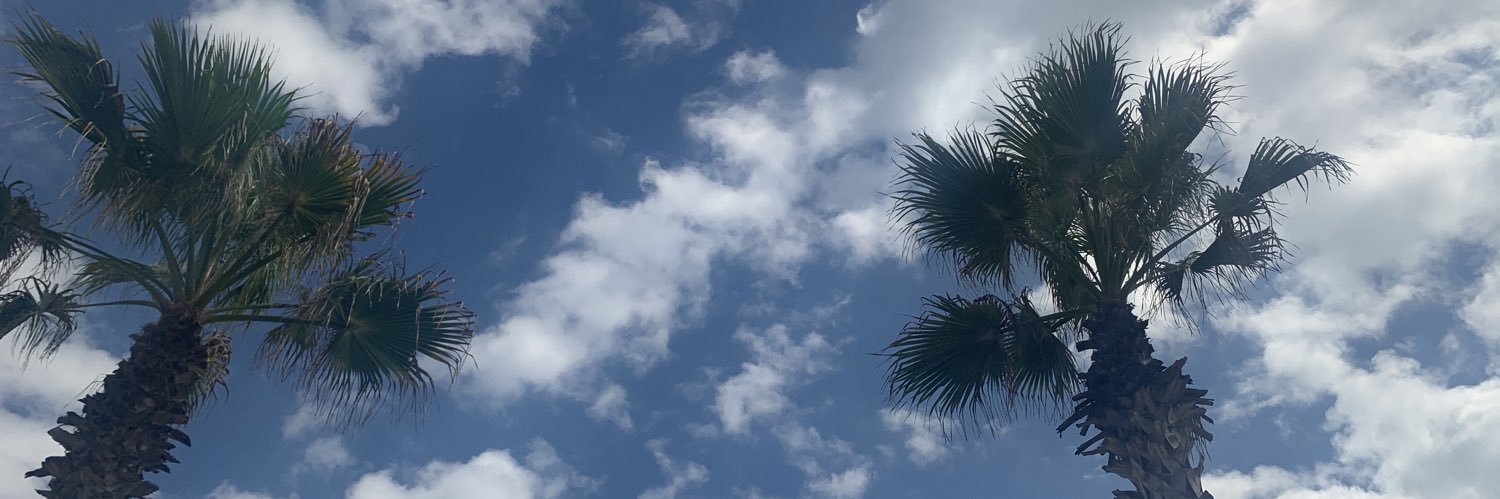 chansus13's profile banner image