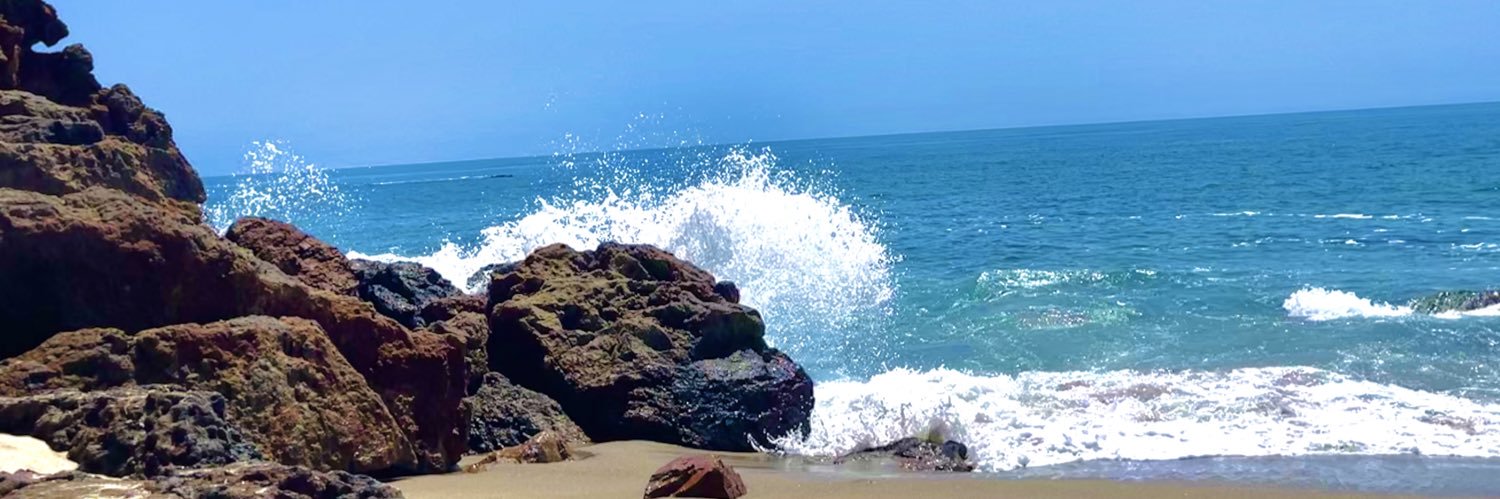 VictoriaFant33's profile banner image