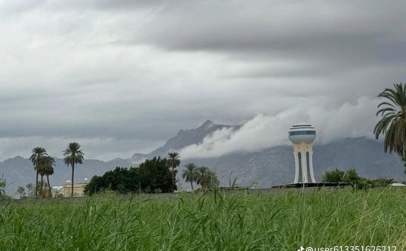 Environment & humans banner