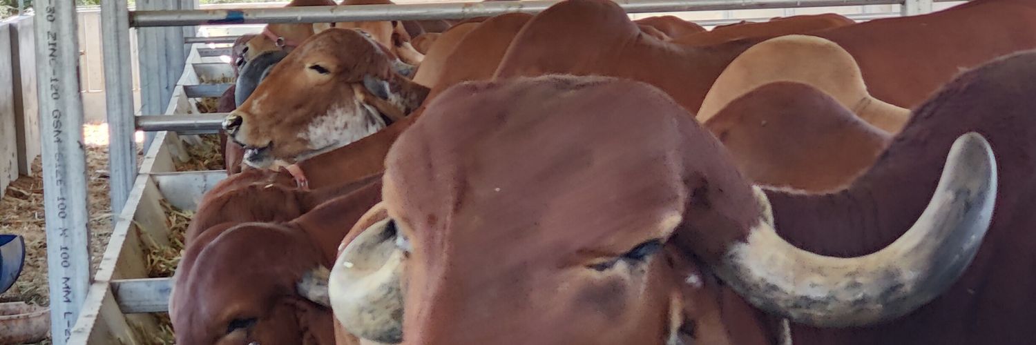 ppatadiya's profile banner image