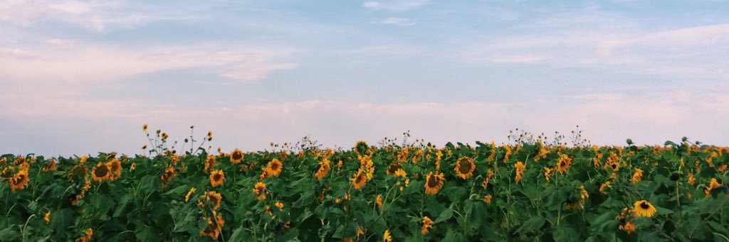 _marydaniellee's profile banner image