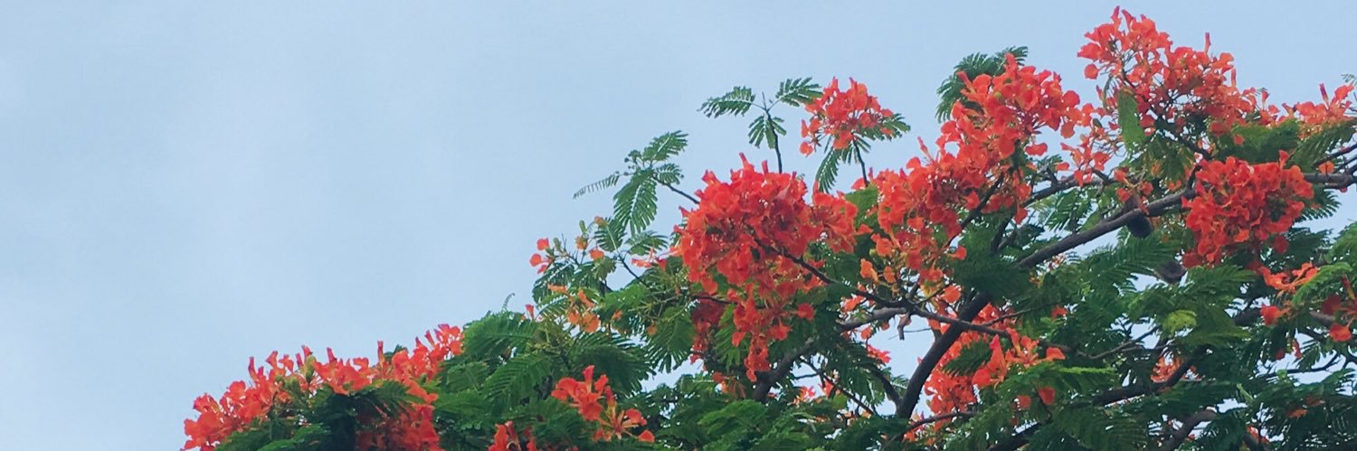 monalisatatum's profile banner image
