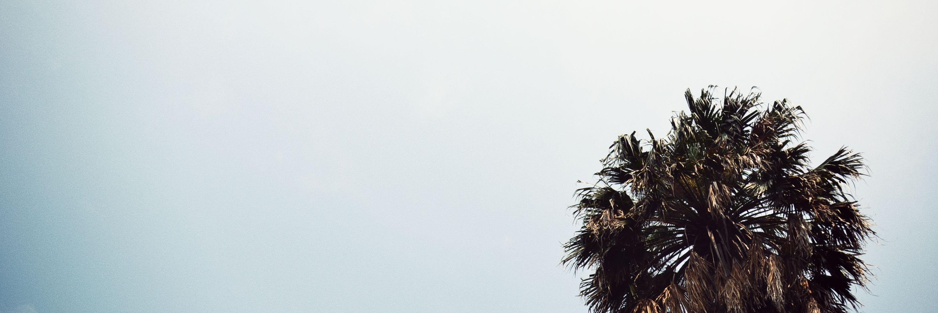 GabriellaPBDS's profile banner image