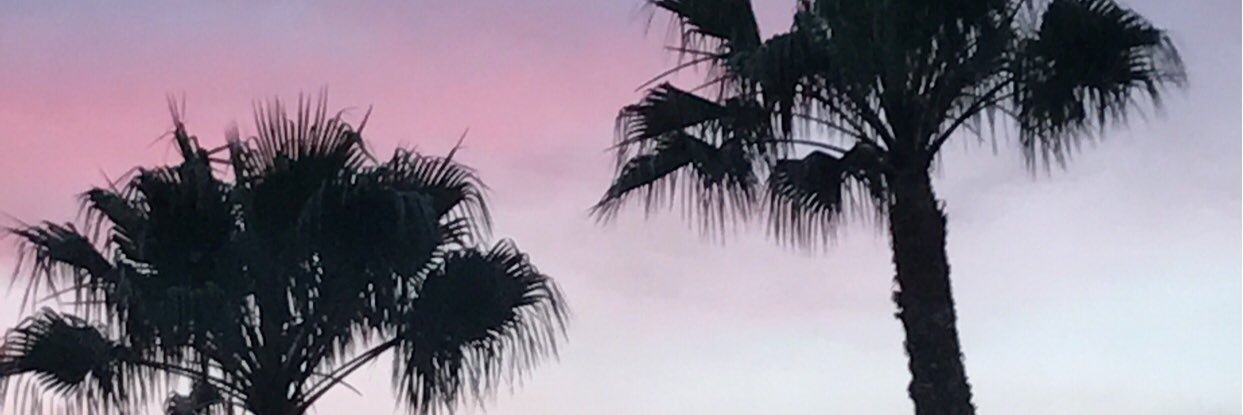 GrapeSprite's profile banner image