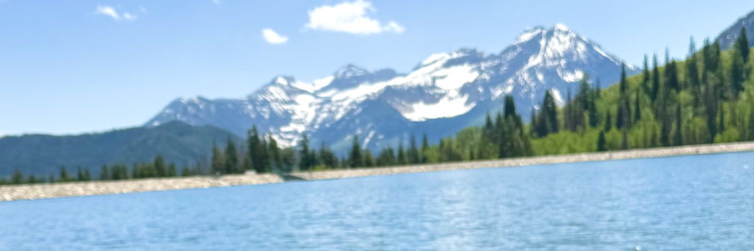 roach1771's profile banner image