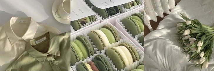 feb ☘️🌻 aid 🍃🌹 fit 🌱🌸 banner