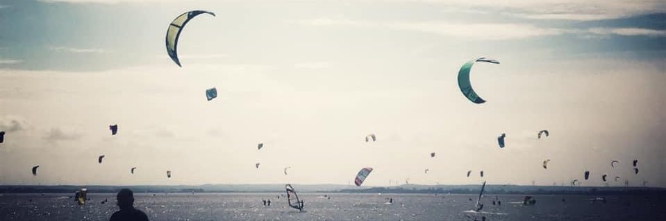 P. banner