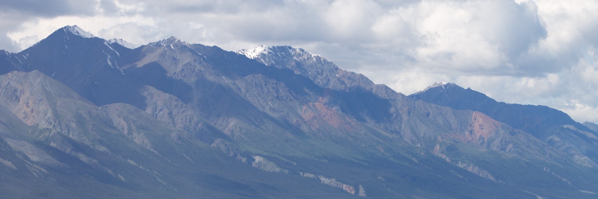 tammorgado's profile banner image