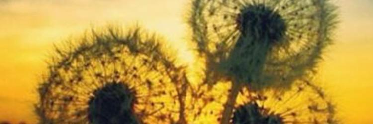 K_Player23's profile banner image