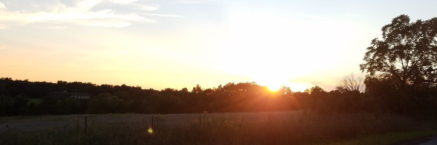 Missyjpaula's profile banner image
