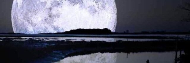 Zoos69's profile banner image
