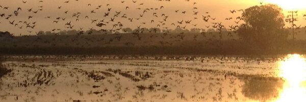 JAKSfarming Profile Banner