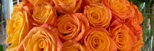 ayamarimba7 Profile Banner