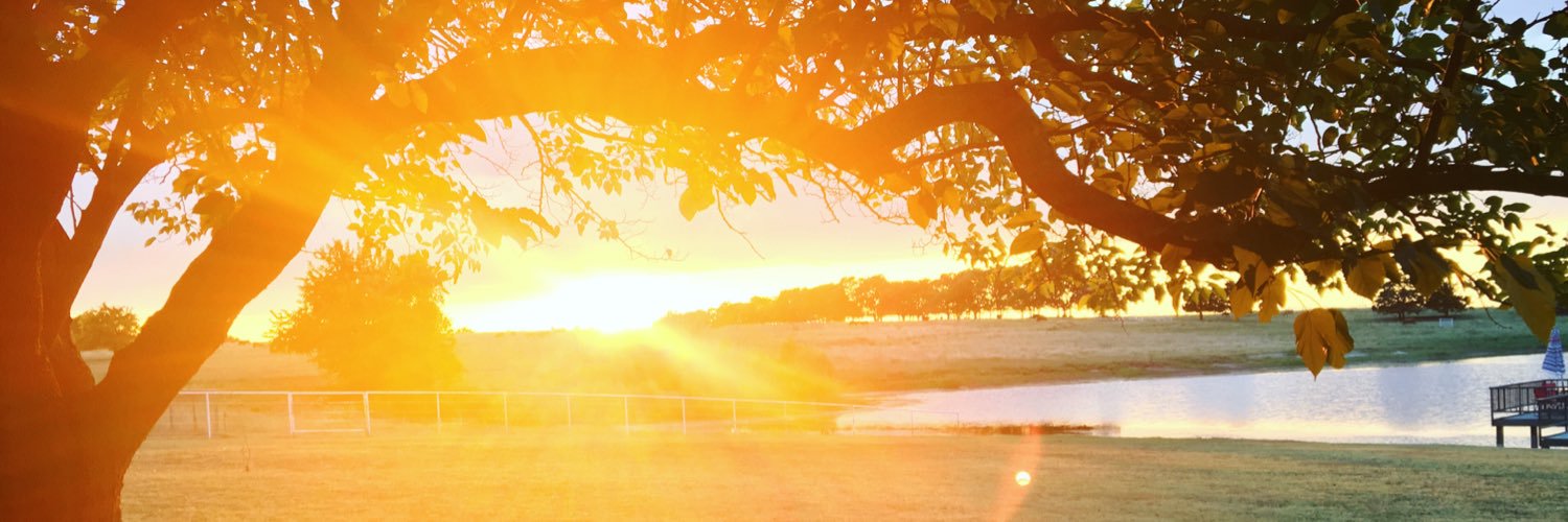 callieee_b's profile banner image