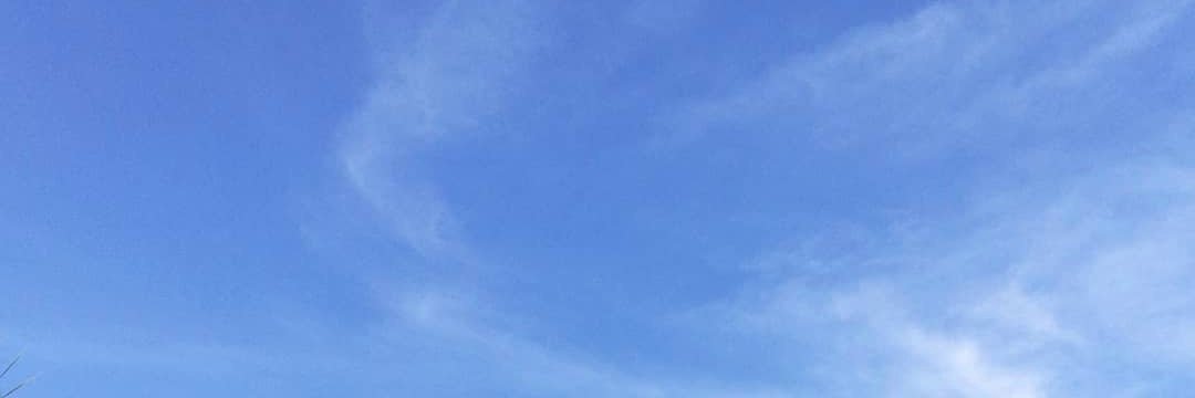 SandraWoo's profile banner image