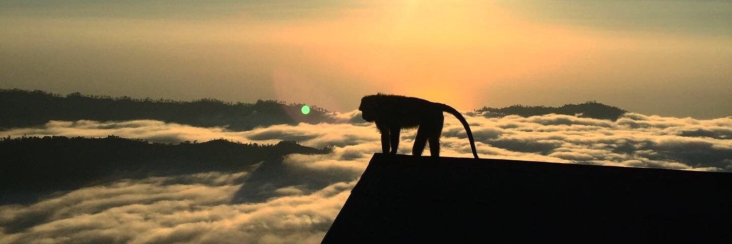 ZackjFitch's profile banner image