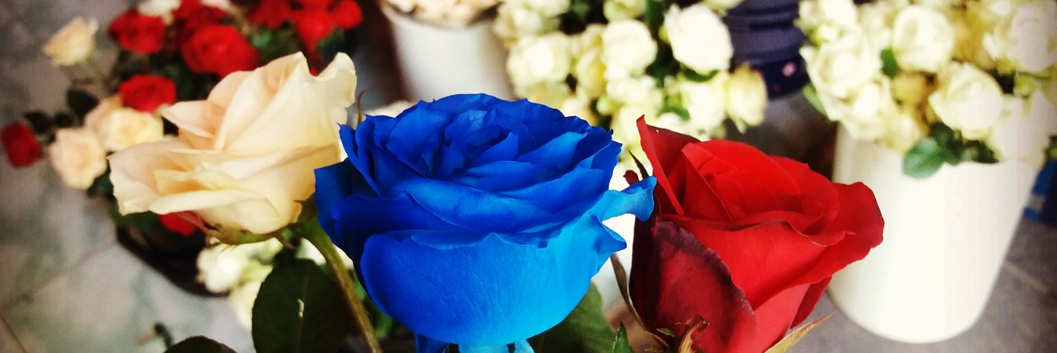 ralinaa__'s profile banner image