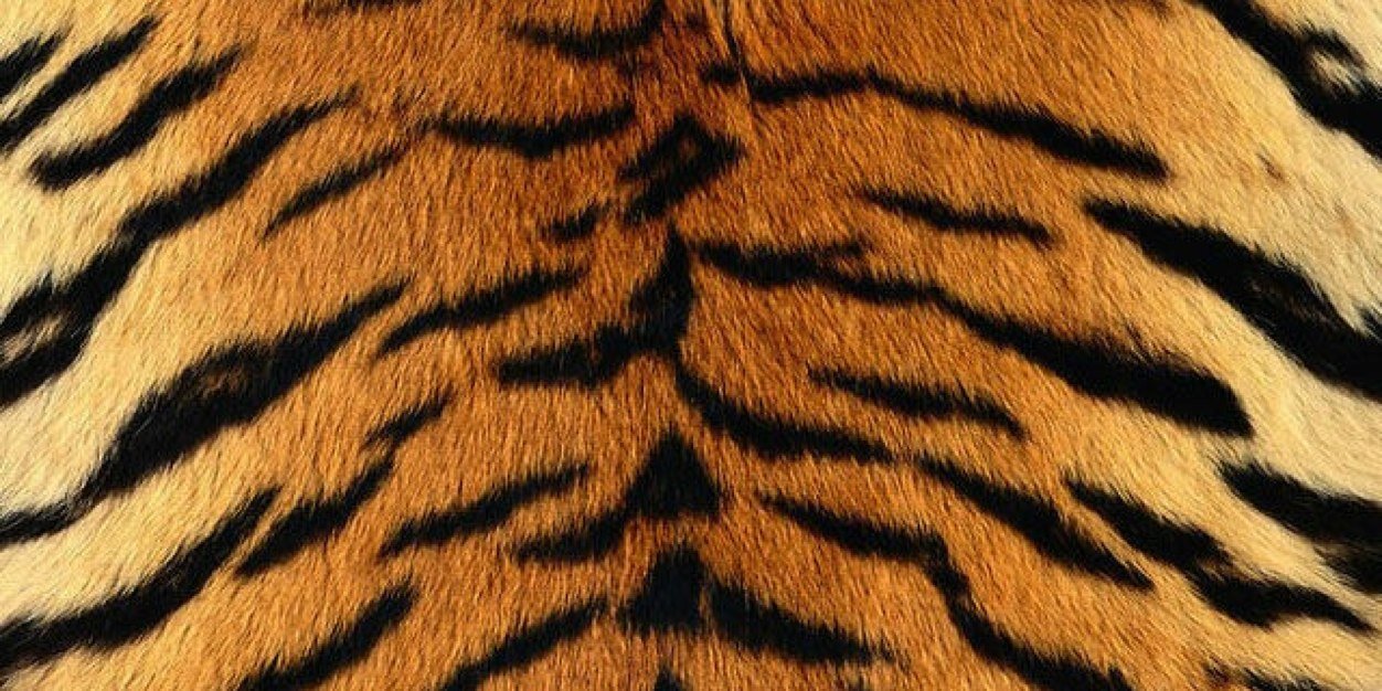 adrianb67's profile banner image