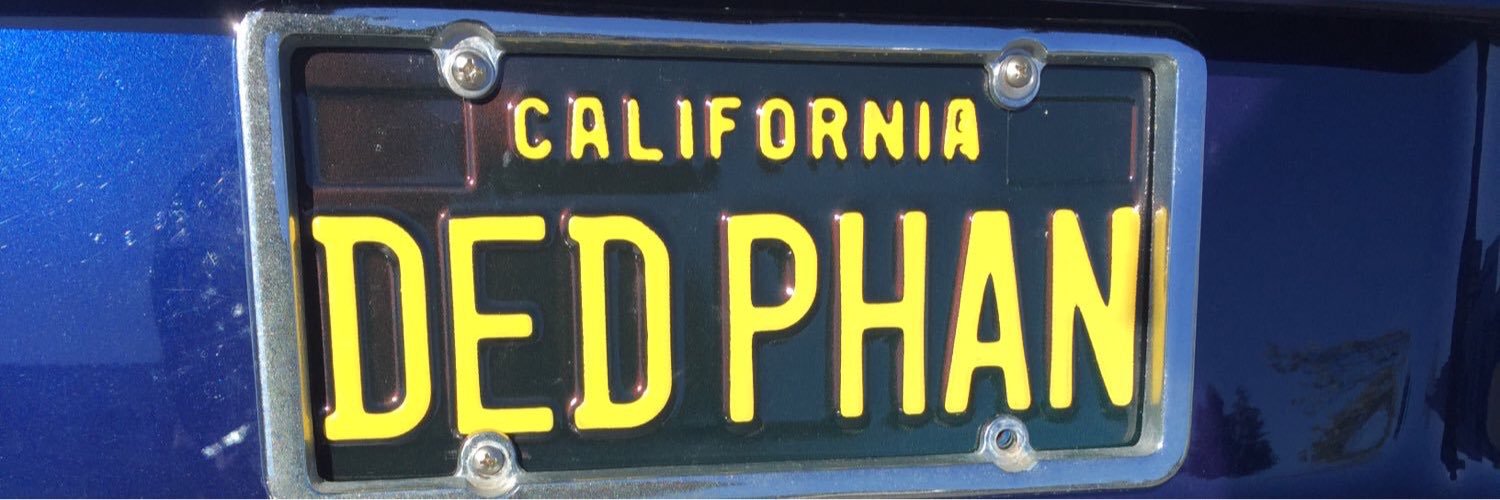 DedFishHed's profile banner image