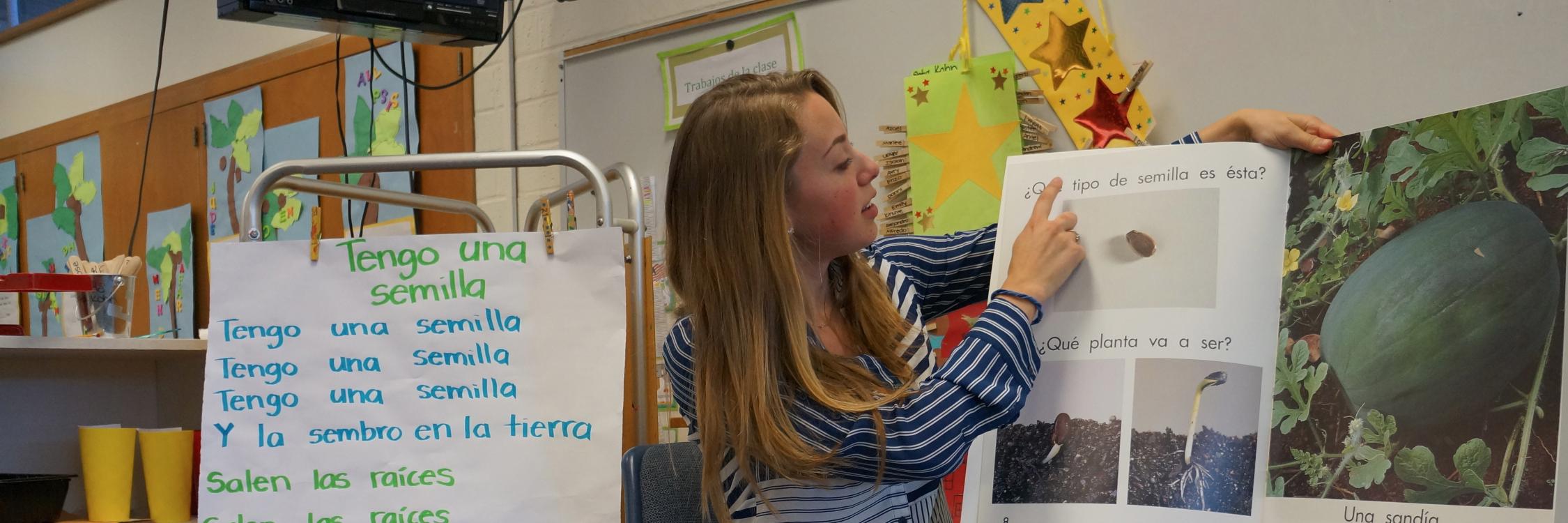 Bilingual Teacher banner