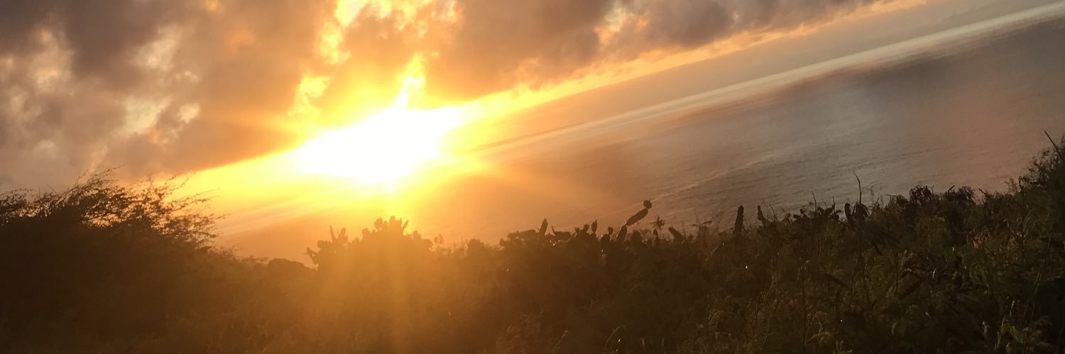 TheRealBark's profile banner image