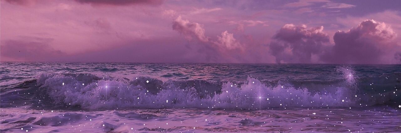 ㅡ anemone ✿ banner
