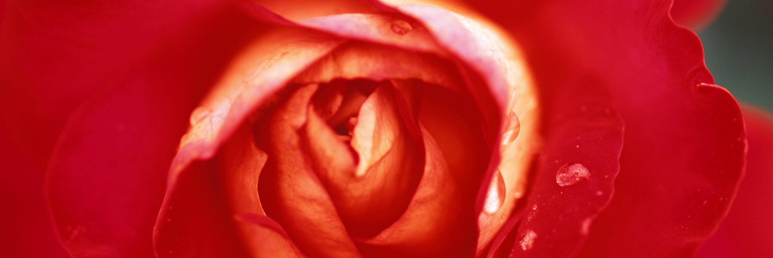 claudebigler's profile banner image