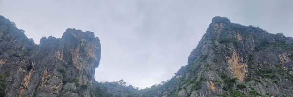 yim5135 Profile Banner