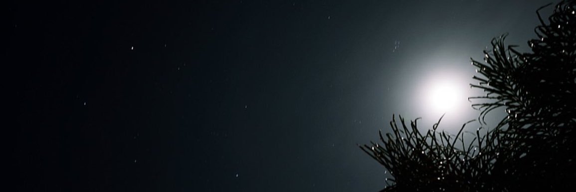 eclectlex's profile banner image