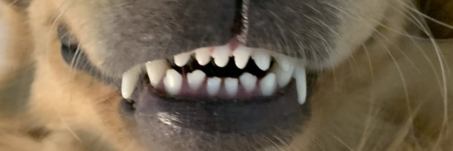 cornychild's profile banner image