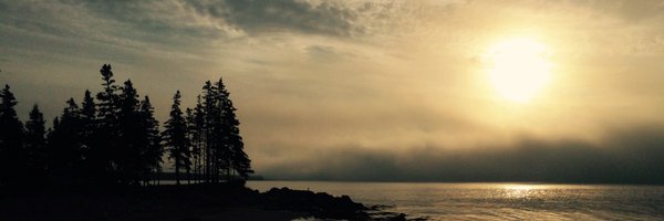 Kati_Ivanyi Profile Banner