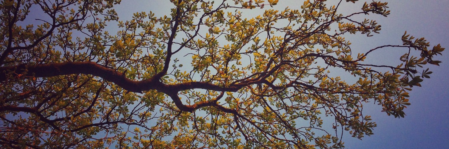 Steffan Messenger banner