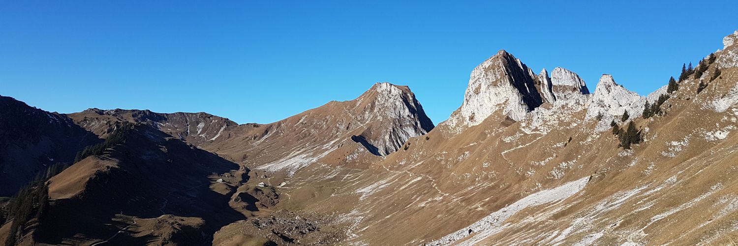 ekrolljahren's profile banner image
