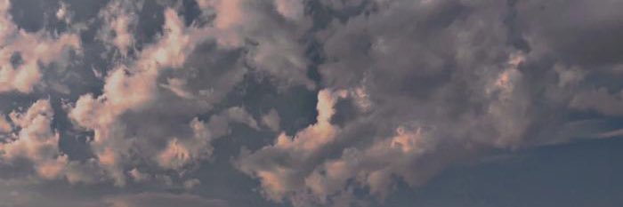 wsq_16's profile banner image