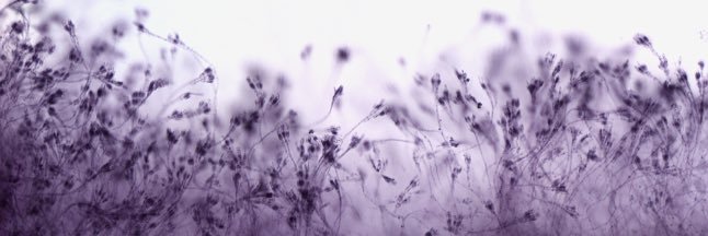 Smajah__'s profile banner image