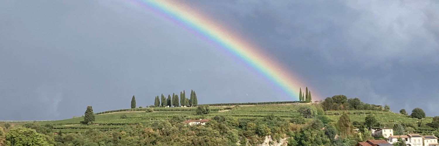 Colleen Barry banner