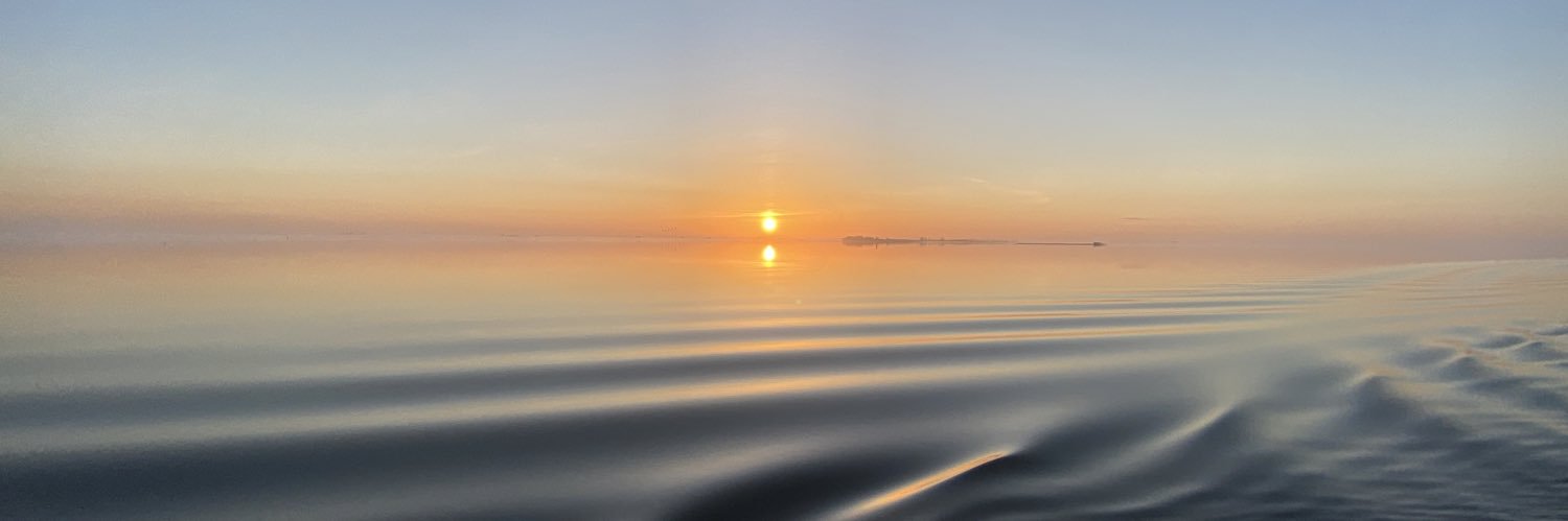 Kees van Trigt banner