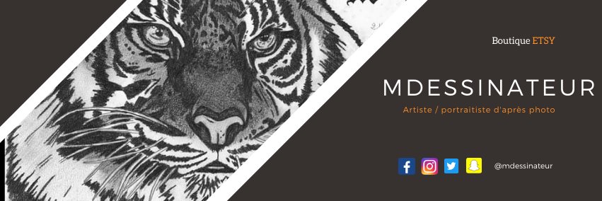 MDessinateur's profile banner image