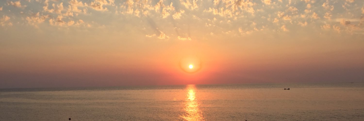 mebu66's profile banner image