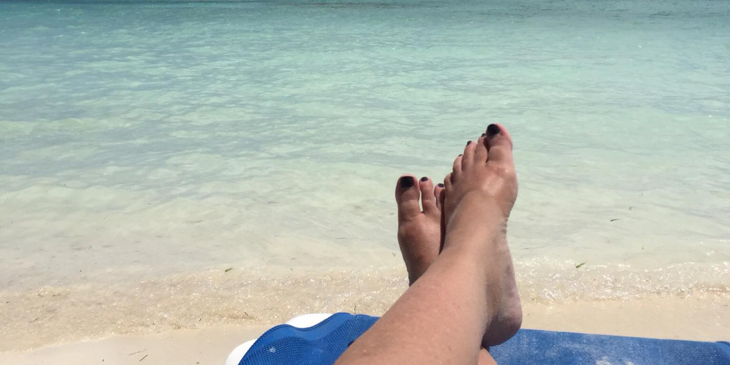 SarahEPrewitt's profile banner image