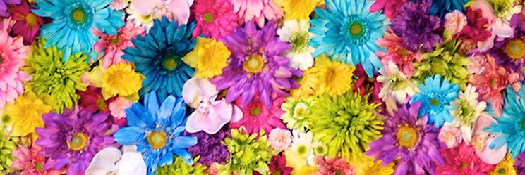 YuChen425's profile banner image