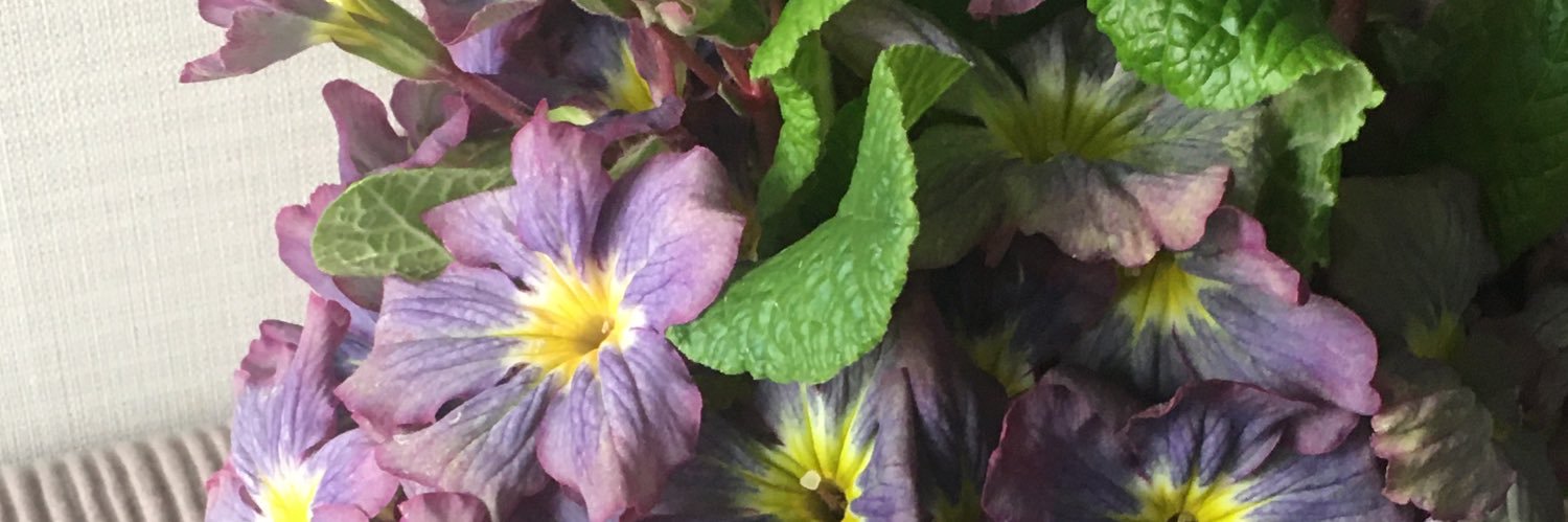 【Masa Gems日本支部】Mame banner