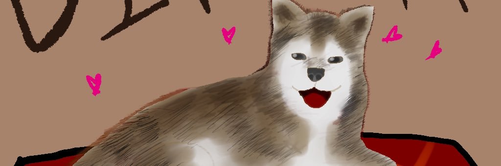 kanahachi's profile banner image