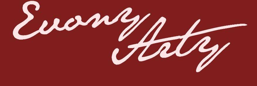 Evony Arty Jiwani banner