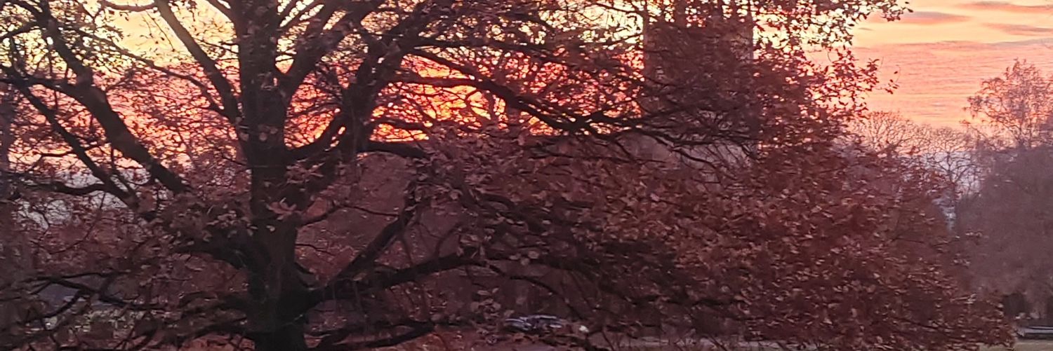 EdwynPym's profile banner image