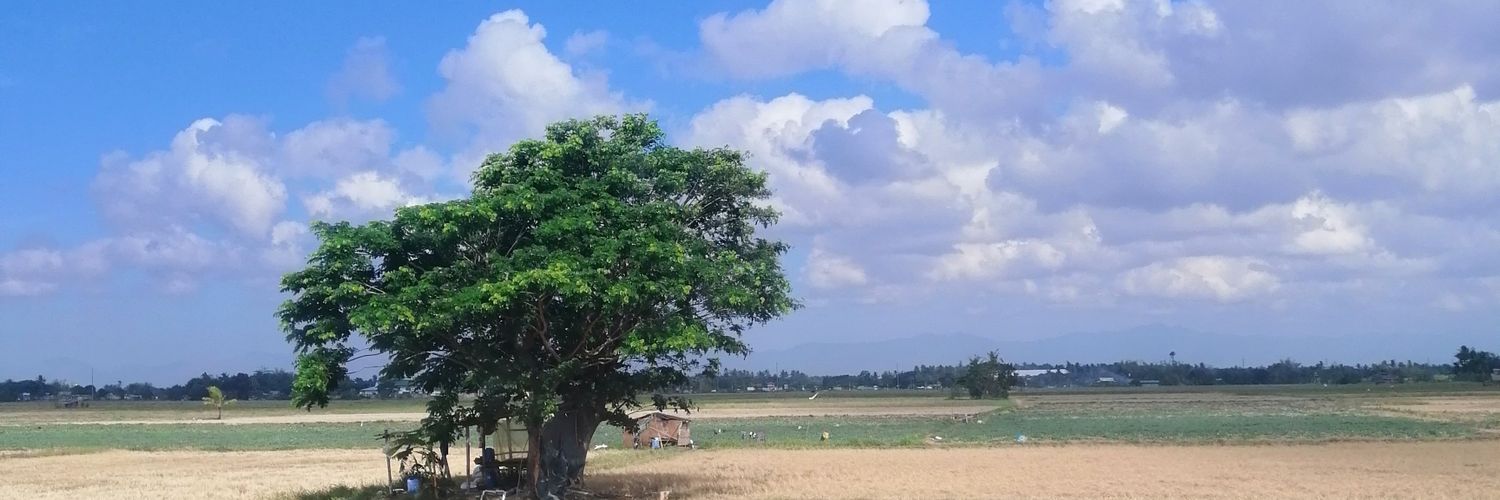 thereynman's profile banner image